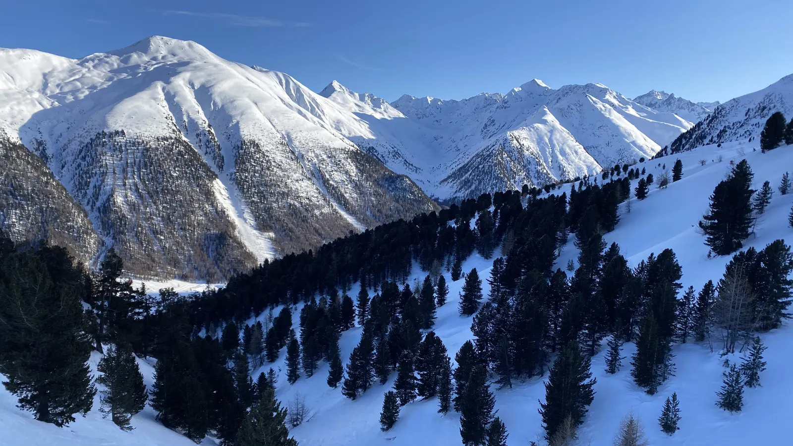Snowy pine forest and mountains around Megève